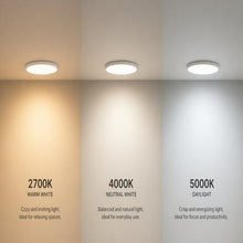 J&H LED 6 in. LED Flush Mount Ceiling Light