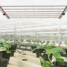 600-Watt LED Grow Light