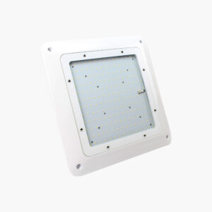 Canopy Lights