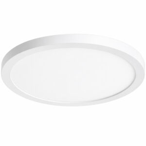 J&H LED 12 in. LED Flush Mount Ceiling Light