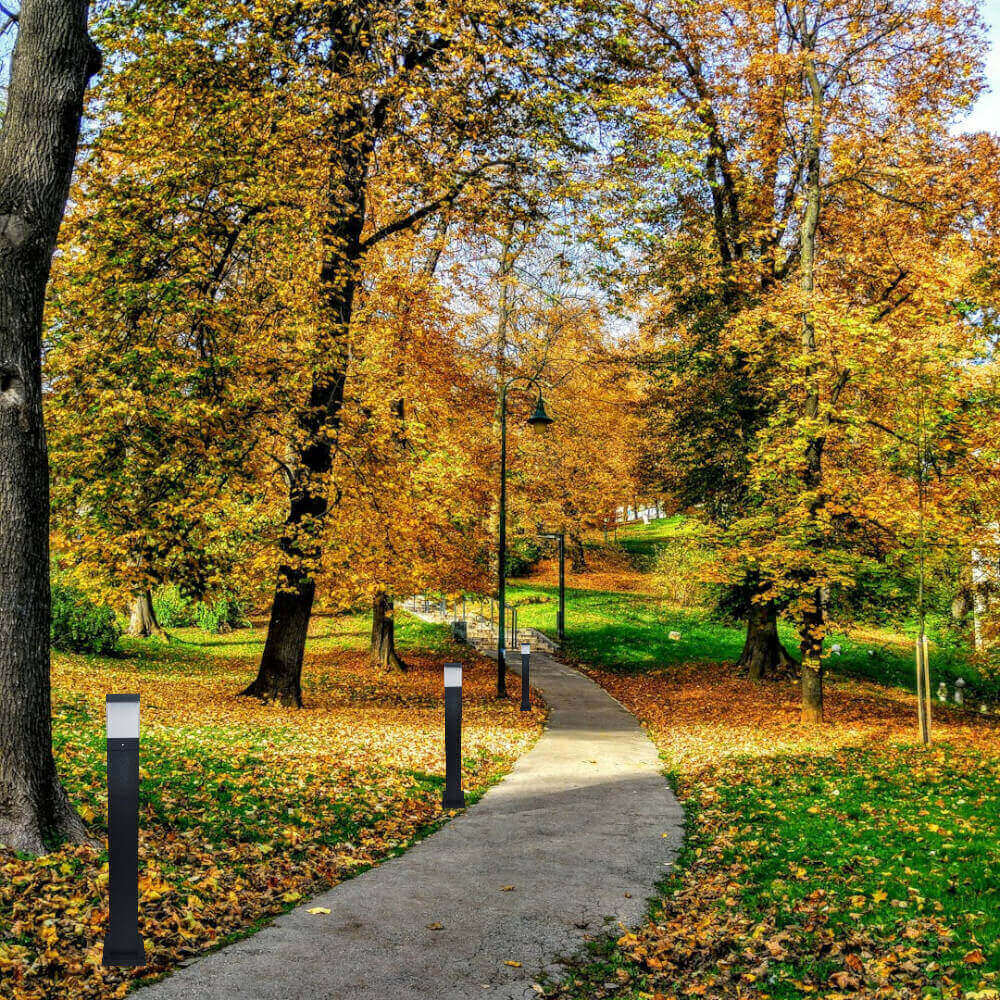 Upgrade your home and office with LED